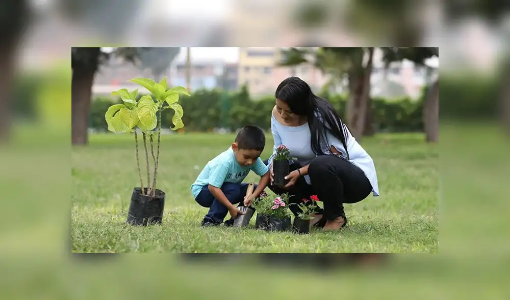 Día de la Madre: aprovecha las actividades gratuitas que se ofrecerán en los clubes zonales 