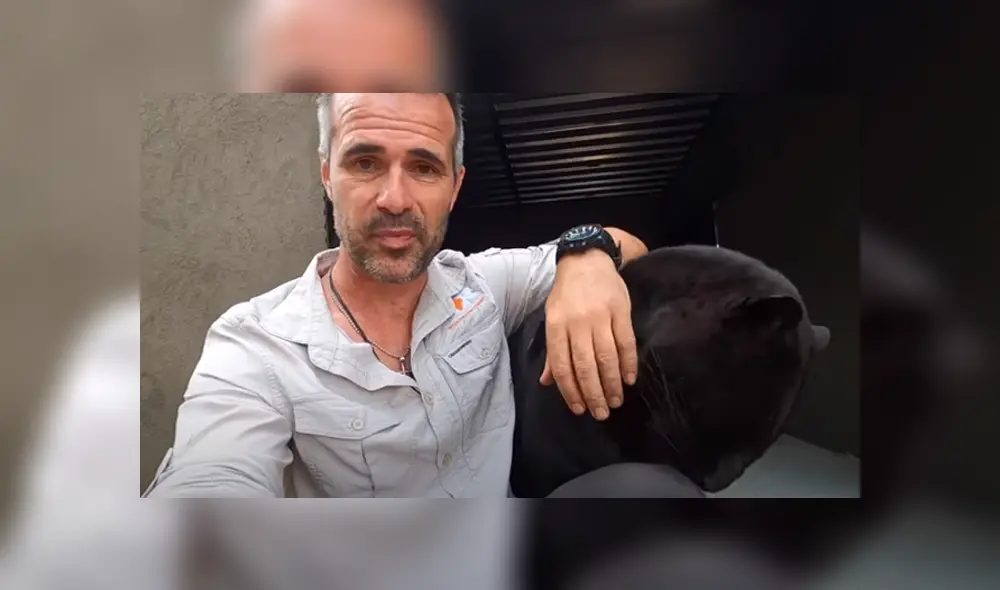 Desliza hacia la izquierda para ver las imágenes del viral de YouTube. Foto: The Lion Whisperer.