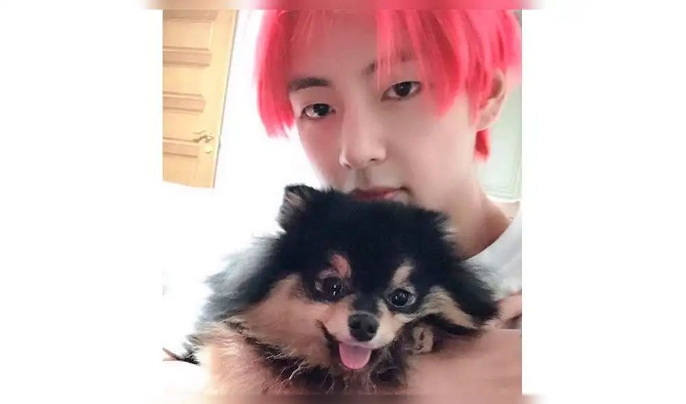 El ARMY celebró el cumpleaños de la mascota del integrante de la banda de kpop