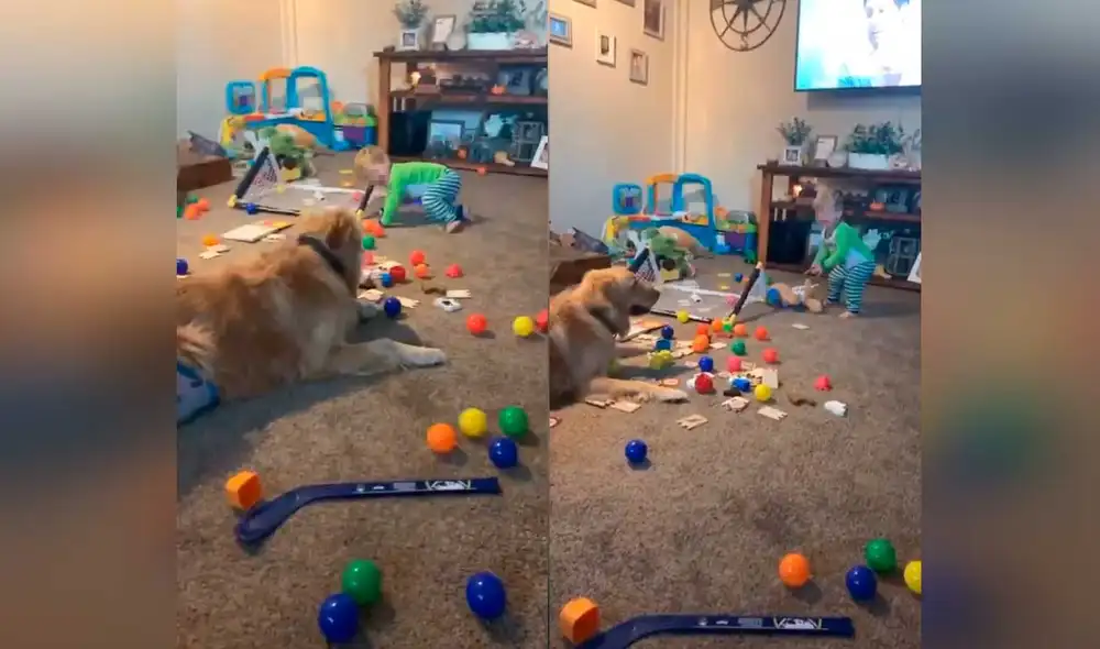 Desliza las imágenes para ver la curiosa escena que registró una madre entre su hijo y su fiel mascota. Foto: Captura de YouTube/ Storyful Rights Management Desliza las imágenes para ver la curiosa escena que registró una madre entre su hijo y su fiel mascota. Foto: Captura de YouTube/ Storyful Rights Management