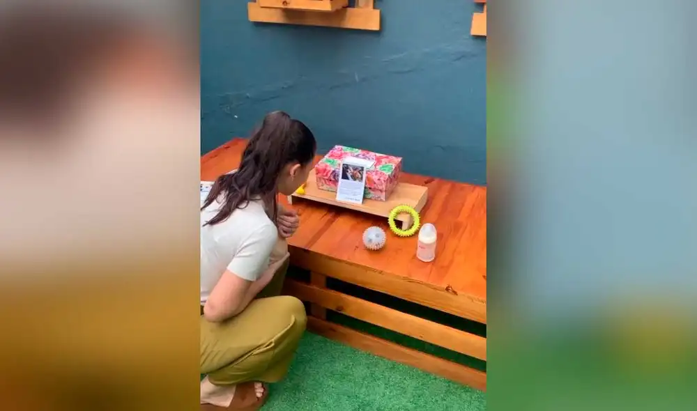 Desliza las imágenes para ver la emotiva reacción que tuvo esta joven al ver la sorpresa que le habían preparado. Foto: captura de TikTok/@anacalle325 Desliza las imágenes para ver la emotiva reacción que tuvo esta joven al ver la sorpresa que le habían preparado. Foto: captura de TikTok/@anacalle325