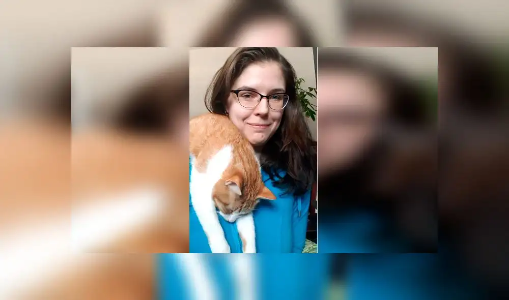 Desliza las imágenes para ver el momento exacto en que este curioso gato se durmió por intentar acompañar a su dueña. Foto: ViralHog