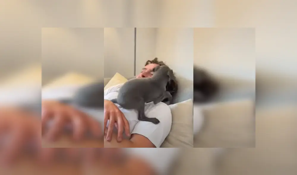 Desliza para ver más detalles sobre esta escena que se ha robado el corazón de miles en YouTube.