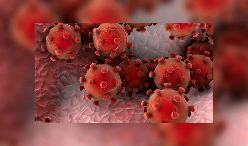 Hasta el momento se han descartado 9 casos de coronavirus en México. (FOTO: Twitter) Hasta el momento se han descartado 9 casos de coronavirus en México. (FOTO: Twitter)