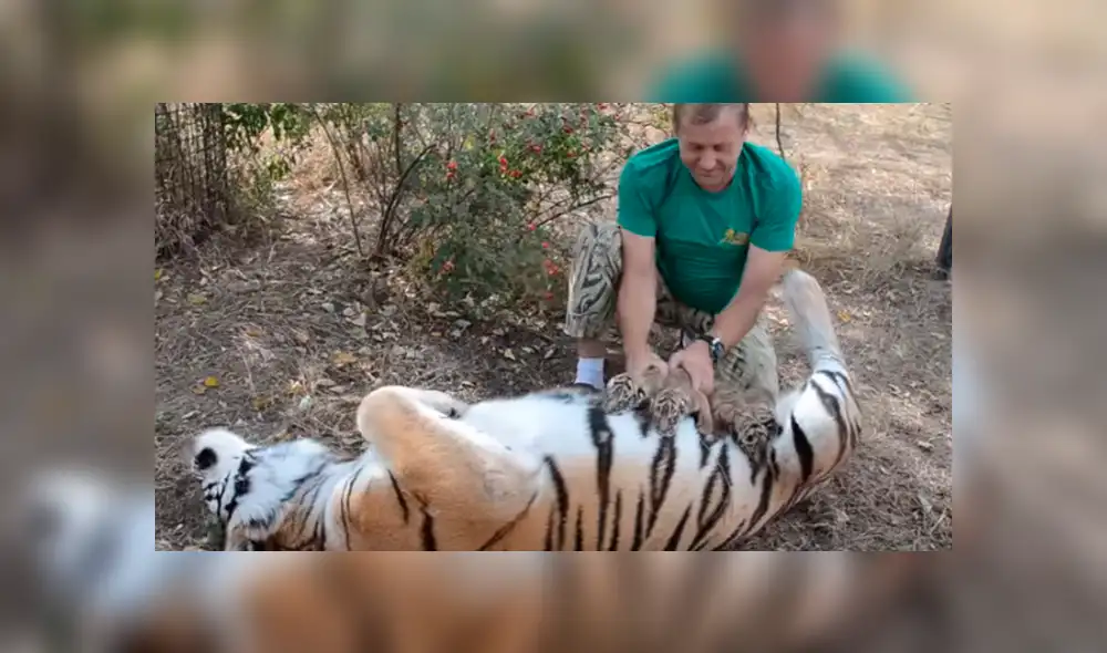 Desliza hacia la izquierda para ver las escenas del video viral de YouTube.