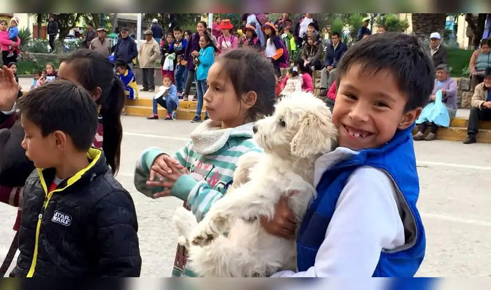 Apurímac: aprueban ordenanza para proteger a mascotas del maltrato en Talavera Apurímac: aprueban ordenanza para proteger a mascotas del maltrato en Talavera