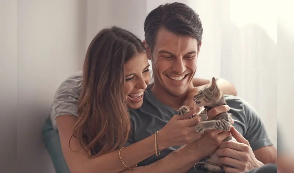 La Positiva presentó un seguro para perros y gatos. Foto: Referencial