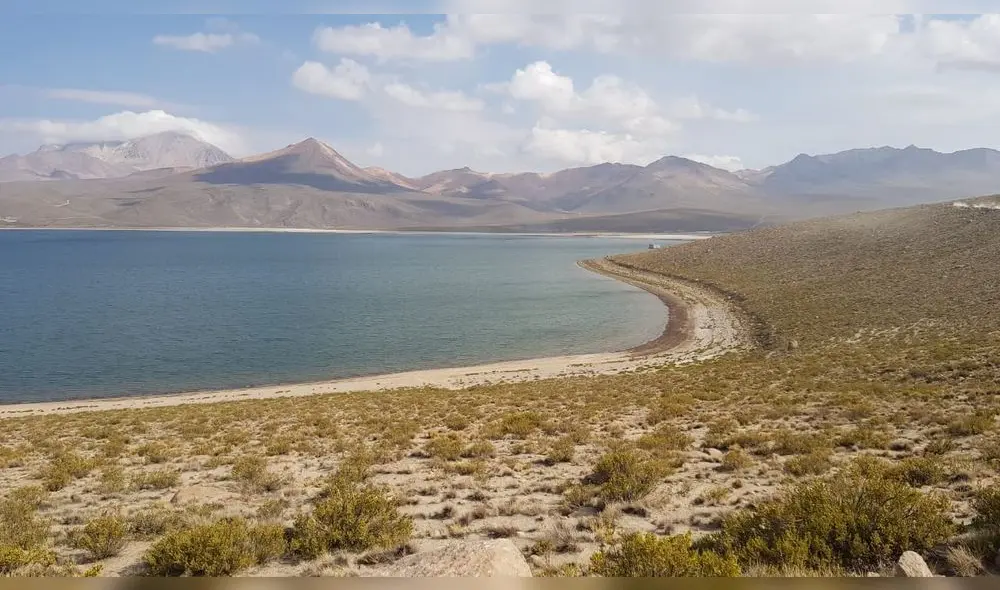 Hermosa laguna de Suches es custodiada ahora por los comuneros de las zonas altas de Tacna.