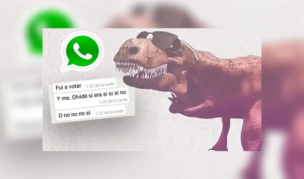WhatsApp: peruana reveló que gracias al remix 'Cállese viejo lesbiano' supo cómo votar en el referéndum [FOTOS]