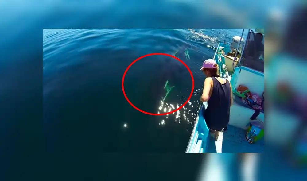 Facebook viral: recorren océano y se topan con misteriosa criatura que tiene increíble reacción al verlos Facebook viral: recorren océano y se topan con misteriosa criatura que tiene increíble reacción al verlos