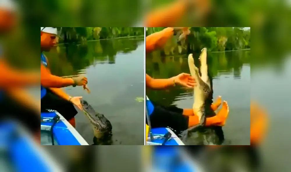 Desliza hacia la izquierda para ver la reacción que tuvo un cocodrilo al recibir sus alimentos, hecho que se viralizó en Facebook.