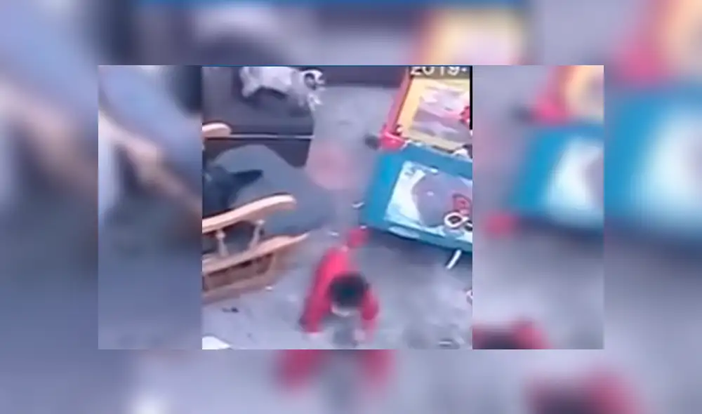 Video es viral en YouTube. Mujer quedó sorprendida cuando revisó las imágenes de la cámara de seguridad y vio el insólito suceso