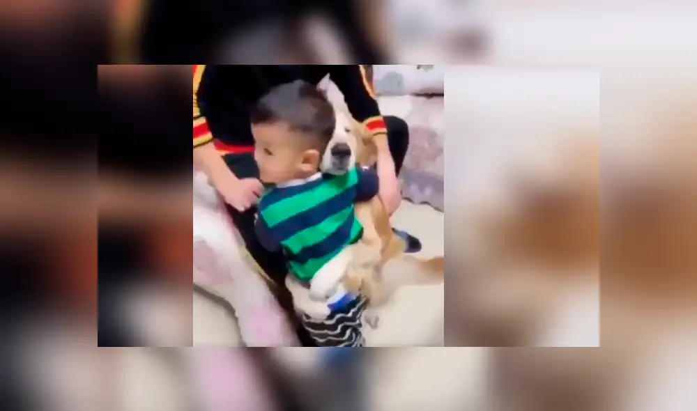 Vía Facebook. El papá simuló golpear a su bebé delante del can, sin imaginar la peculiar intervención que tendría este para proteger al pequeño