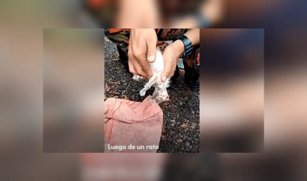 Desliza hacia la izquierda para ver las imágenes del viral de Facebook. Desliza hacia la izquierda para ver las imágenes del viral de Facebook.