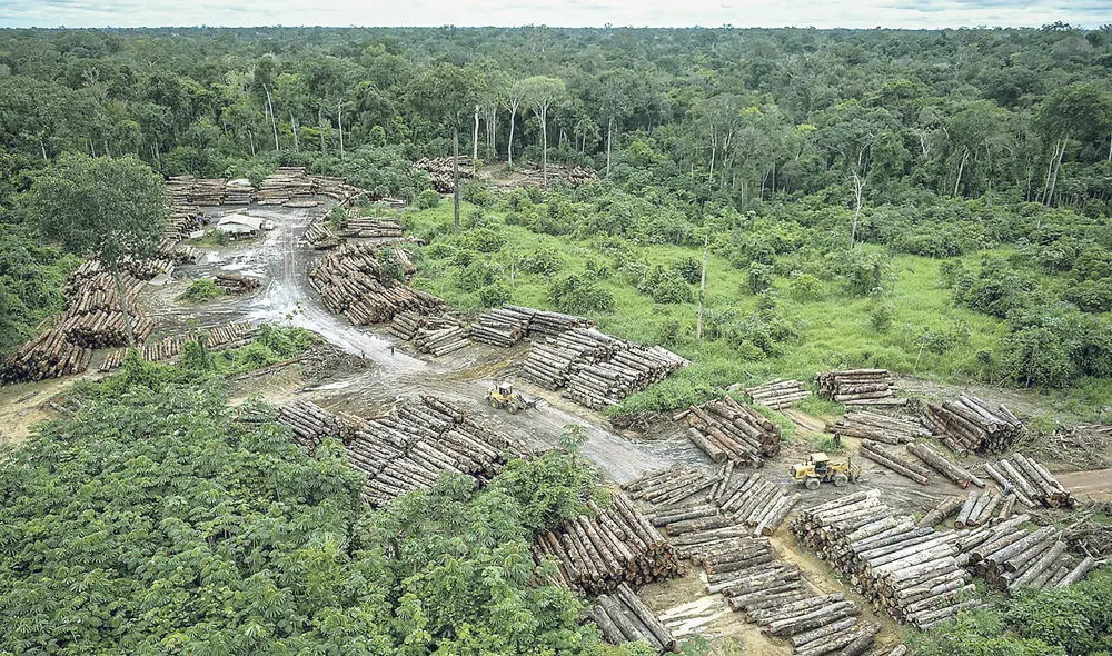Daño. En el 2020 más de 200.000 hectáreas fueron deforestadas en la Amazonía peruana.