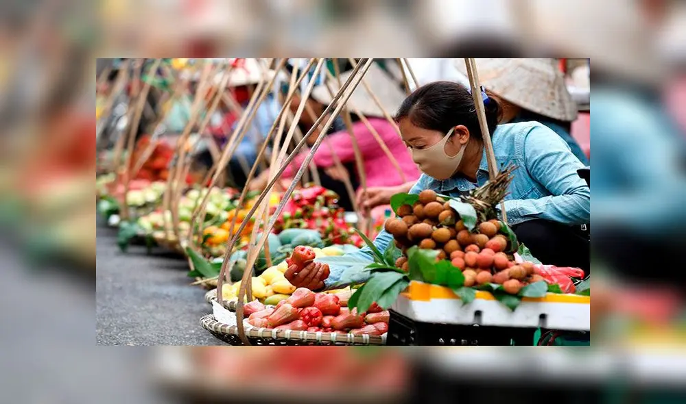 Vendedores de frutas en Hanoi, Vietnam, el miércoles 10 de junio. Foto: EFE