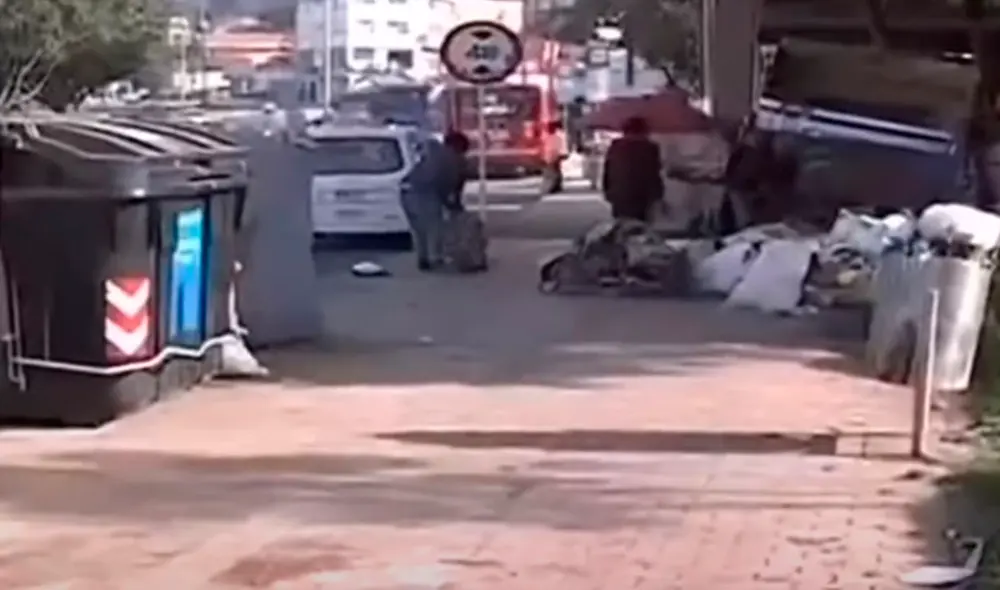Lo animales fueron arrojados a contenedores de basura al norte de Bogotá. Foto: captura video Lo animales fueron arrojados a contenedores de basura al norte de Bogotá. Foto: captura video