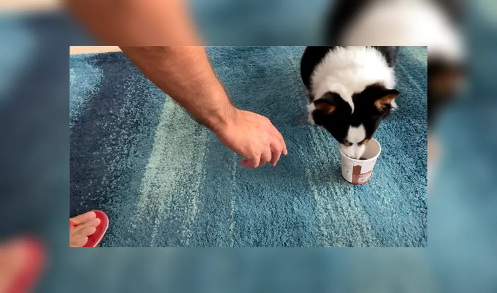 Desliza hacia la izquierda para ver más del video viral. Fotocaptura: YouTube