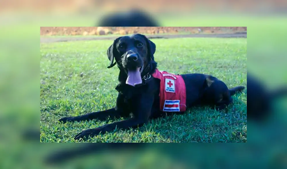 Kurt es considerado como uno de los miembros más importantes de su unidad. (Foto: Facebook)