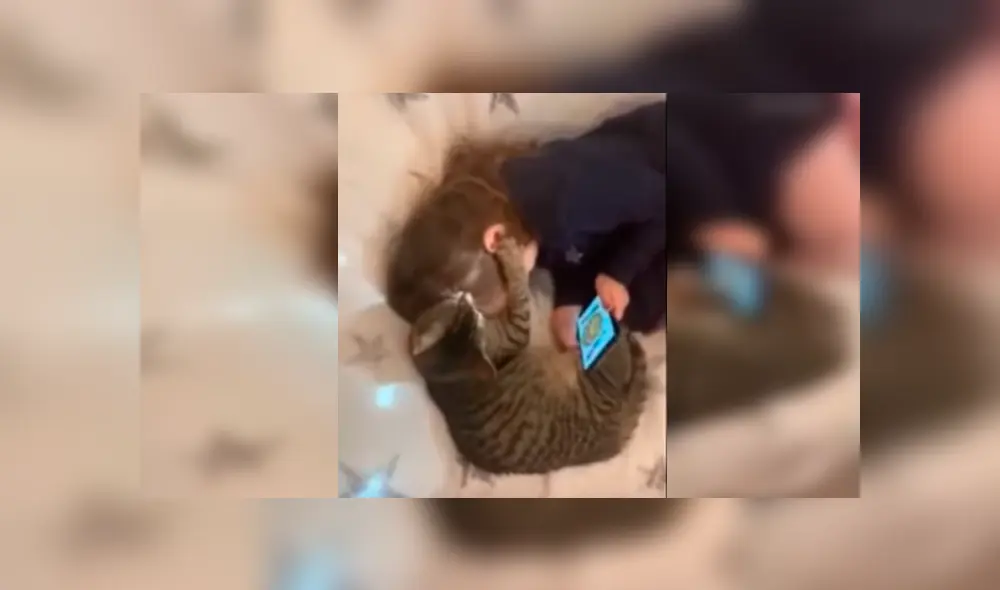 Video es viral en Facebook. El felino no soportó que su pequeña dueña lo ignore por revisar su celular y buscó llamar su atención con gracioso comportamiento Video es viral en Facebook. El felino no soportó que su pequeña dueña lo ignore por revisar su celular y buscó llamar su atención con gracioso comportamiento