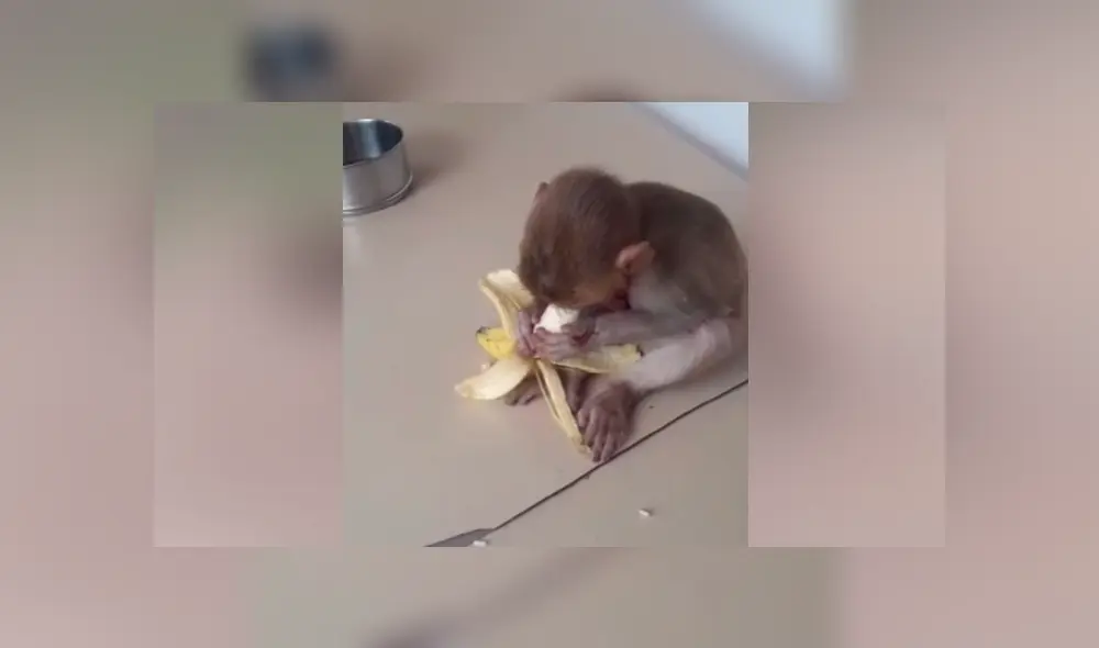 Desliza para ver los momentos más conmovedores del video que se hizo viral en Facebook.