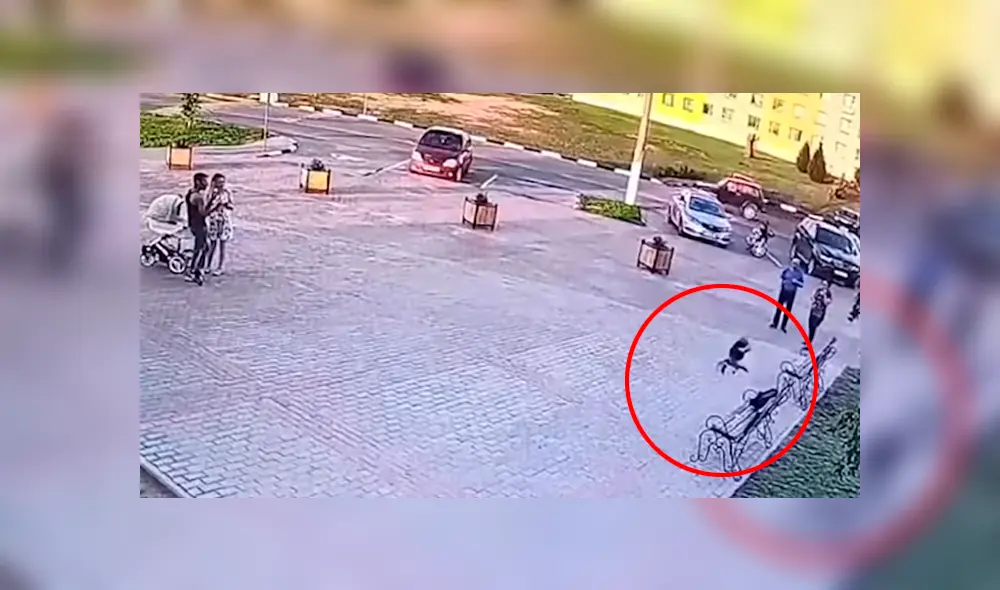 Desliza la imagen compartida en YouTube para verlas todas. Foto. МВД Беларуси