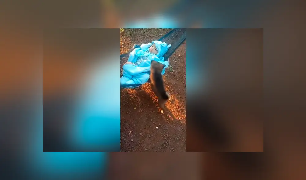 Facebook viral: madre graba el momento exacto en que perro bebé juega con su hijo y genera ternura Facebook viral: madre graba el momento exacto en que perro bebé juega con su hijo y genera ternura