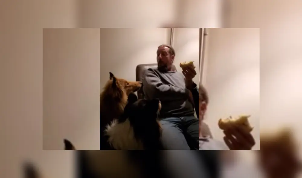 Desliza hacia la izquierda para ver más del video viral Desliza hacia la izquierda para ver más del video viral