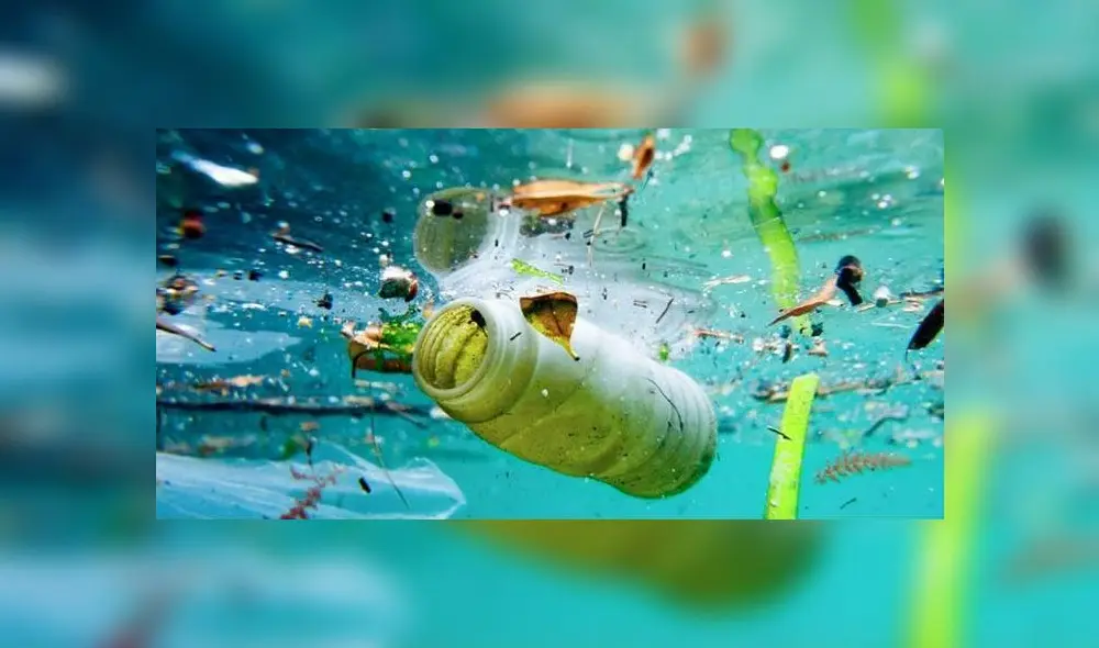 Regulación del uso del plástico