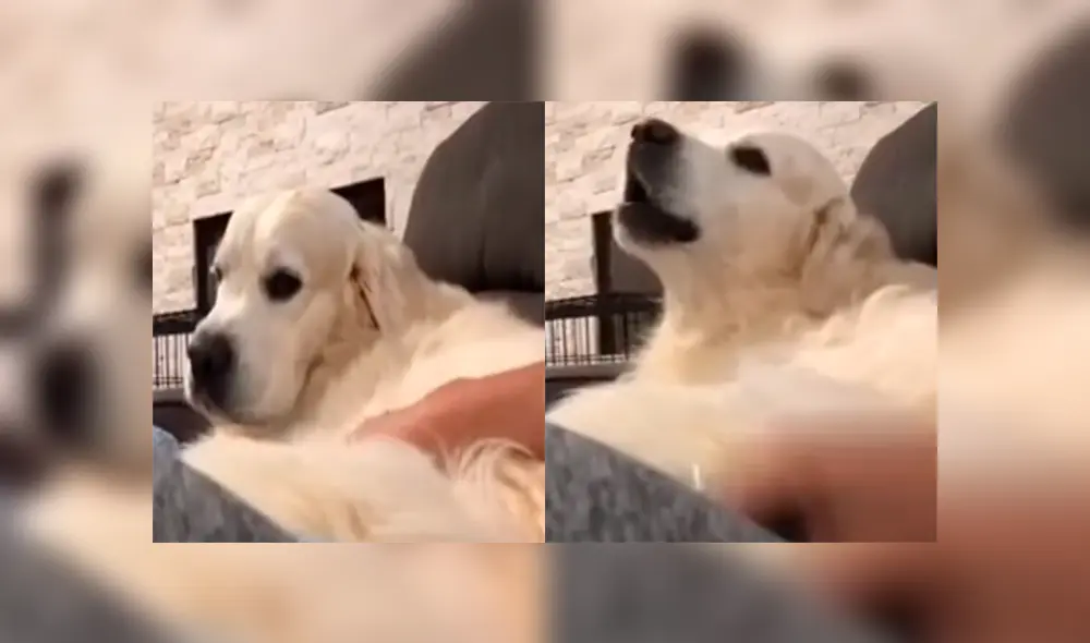 Desliza para ver lo momento más divertidos del video que se hizo viral en YouTube. Desliza para ver lo momento más divertidos del video que se hizo viral en YouTube.