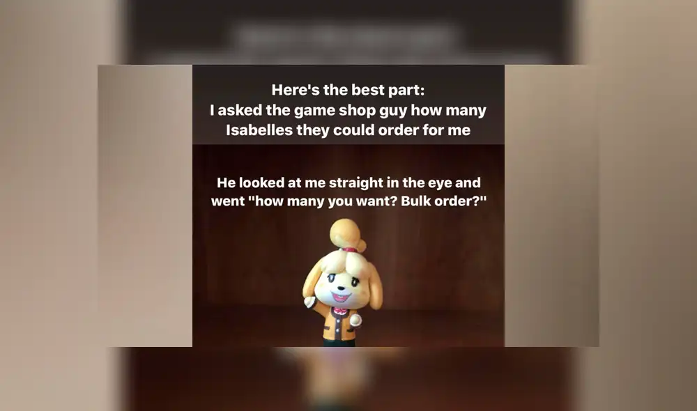 "La mejor parte fue que pregunté al vendedor cuantos amiibo podía comprar. El me preguntó si deseaba comprarlos al por mayor."