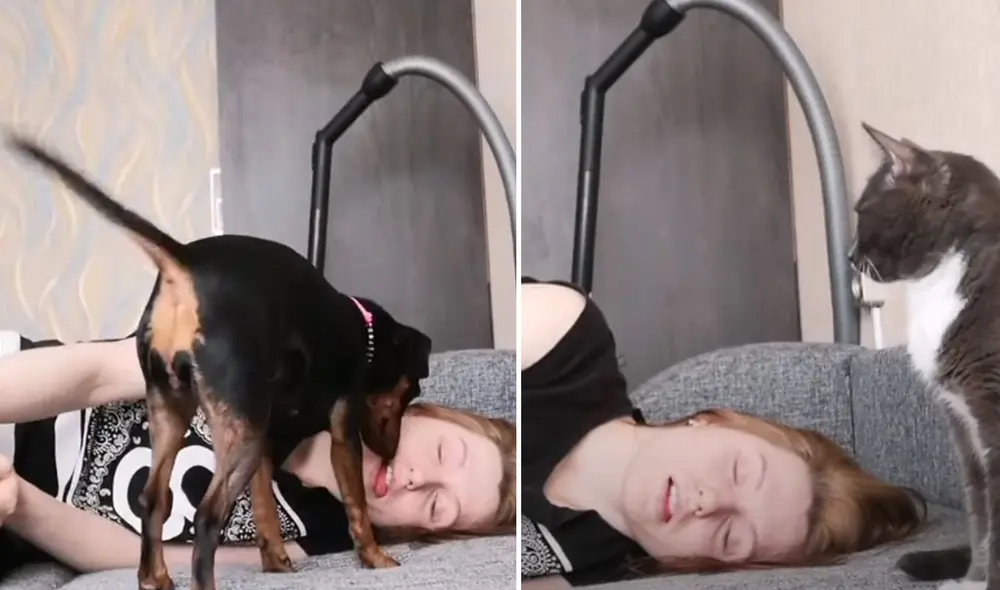 Las mascotas reaccionaron completamente diferente al ver a su dueña 'desmayada'. Foto: YouTube