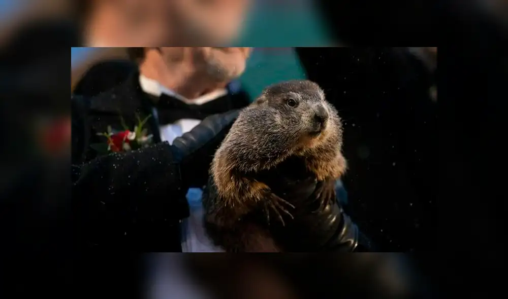 En Pensilvania se celebra todos los años el Día de la Marmota, evento que reúne bastante gente desde 1887.