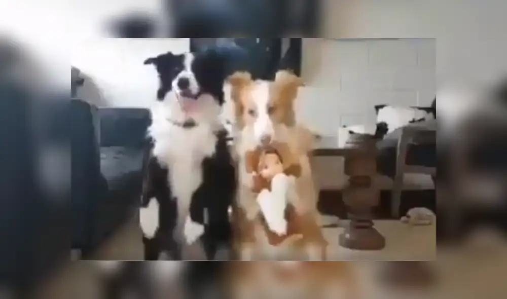 Desliza hacia la izquierda para ver más del video viral Desliza hacia la izquierda para ver más del video viral