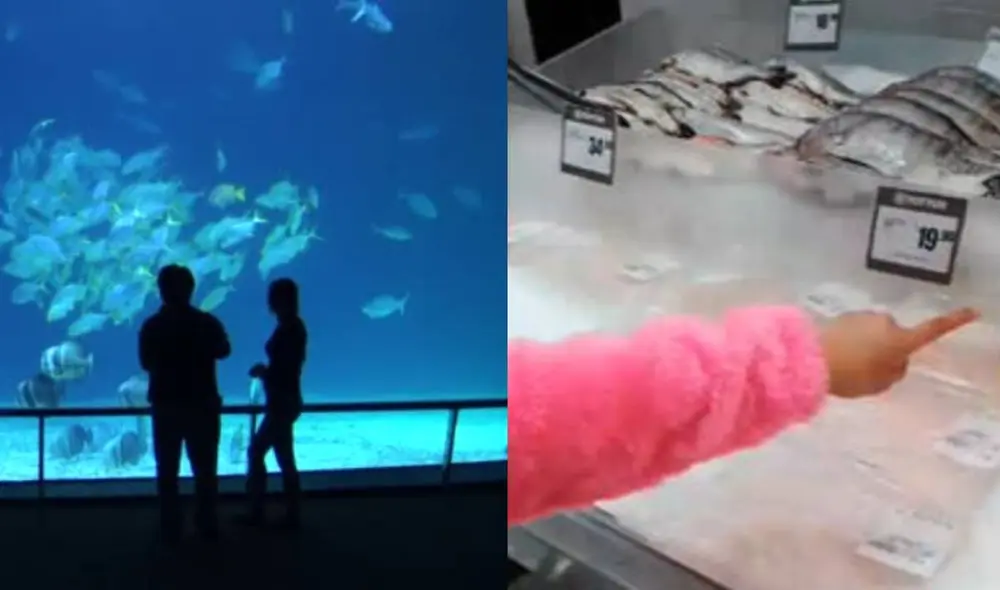 Miles de usuarios no han parado de reír con este video. Foto: composición LR/TikTok