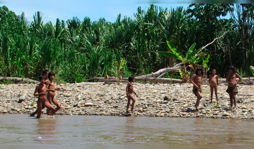 Fujimorismo aprueba proyecto que provocaría desaparición de pueblos en aislamiento Fujimorismo aprueba proyecto que provocaría desaparición de pueblos en aislamiento