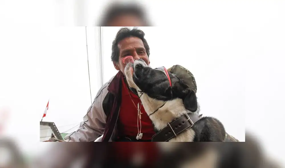 Familias enteras disfrutaron del variado y colorido cronograma del Desfile Militar. (Foto: La República)