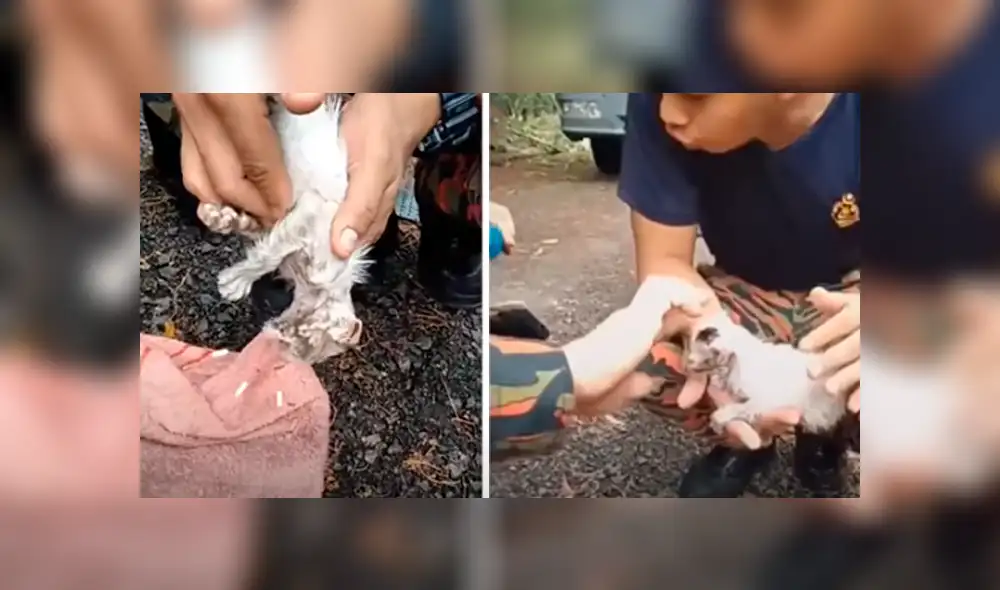 Desliza hacia la izquierda para ver las imágenes del viral de Facebook. Desliza hacia la izquierda para ver las imágenes del viral de Facebook.