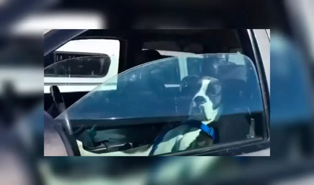 Youtube viral: busca a chofer escandaloso para enfrentarlo y queda desconcertado con su identidad [VIDEO]