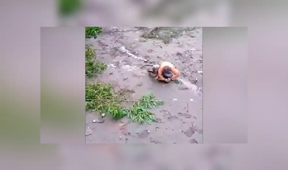 Desliza hacia la izquierda para ver el momento en que el hombre interfiere en la batalla de dos enormes serpientes en Filipinas. El video es viral en YouTube.