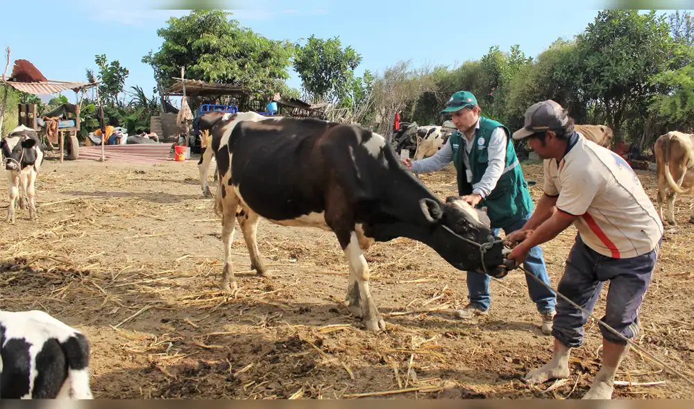 Buscan garantizar salud de población. Buscan garantizar salud de población.