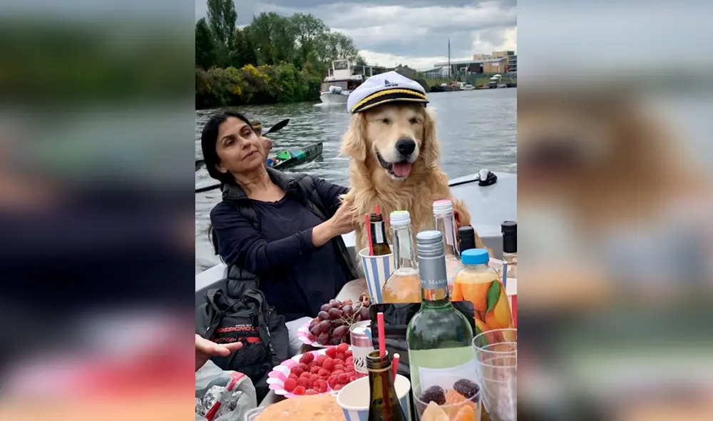 Desliza las imágenes para conocer la conmovedora historia de un perro que fue diagnosticado con tumor cerebral. Foto: YouTube Desliza las imágenes para conocer la conmovedora historia de un perro que fue diagnosticado con tumor cerebral. Foto: YouTube