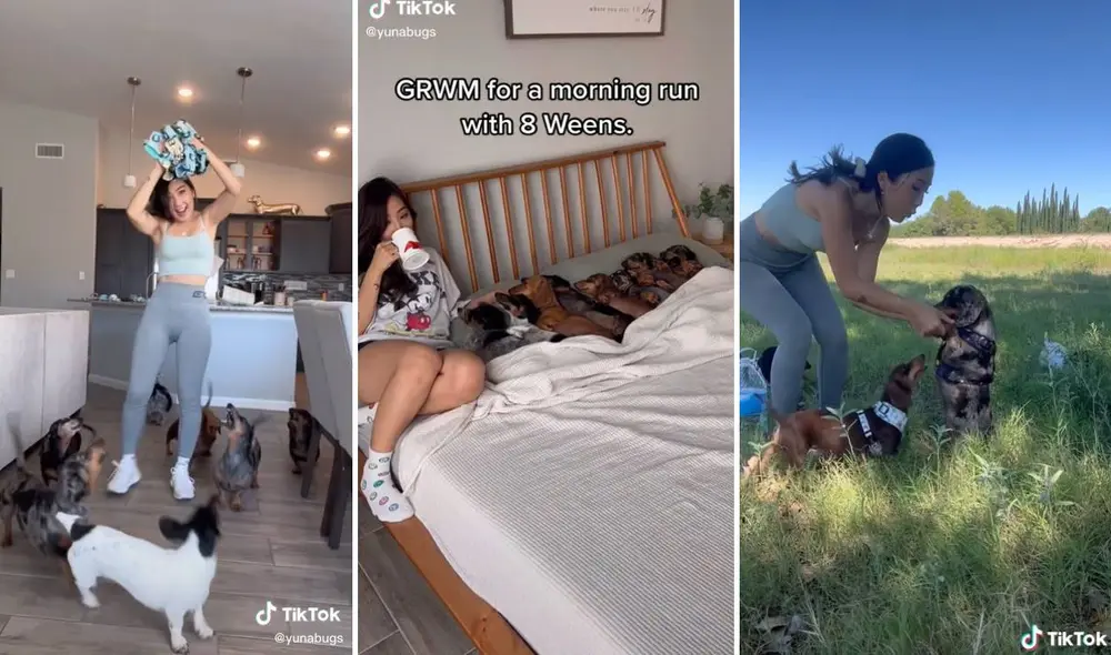 El video ha logrado más de 55 millones de reproducciones en TikTok. Foto: composición LR/captura de TikTok/@yunabugs El video ha logrado más de 55 millones de reproducciones en TikTok. Foto: composición LR/captura de TikTok/@yunabugs