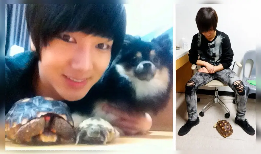 SUPER JUNIOR: Yesung jugando con sus mascotas. Crédito: Twitter E.L.F