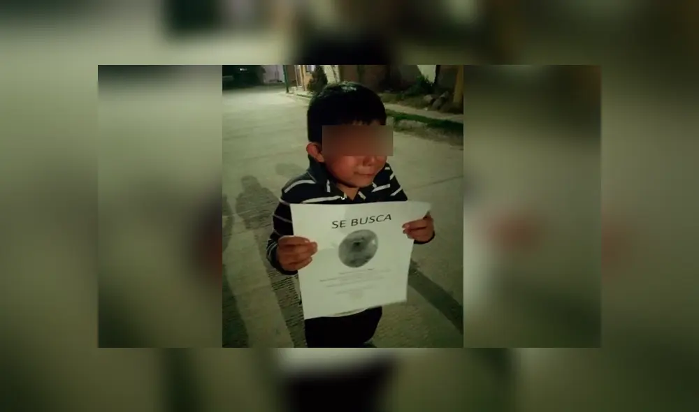 A través de Facebook se hizo viral la historia de un niño, quien no para de buscar a 'Ryder', su perro extraviado.