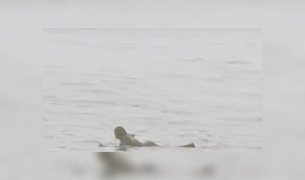 Joven practicaba surf en el agua cuando una foca aparece saltando y lo asusta [VIDEO]