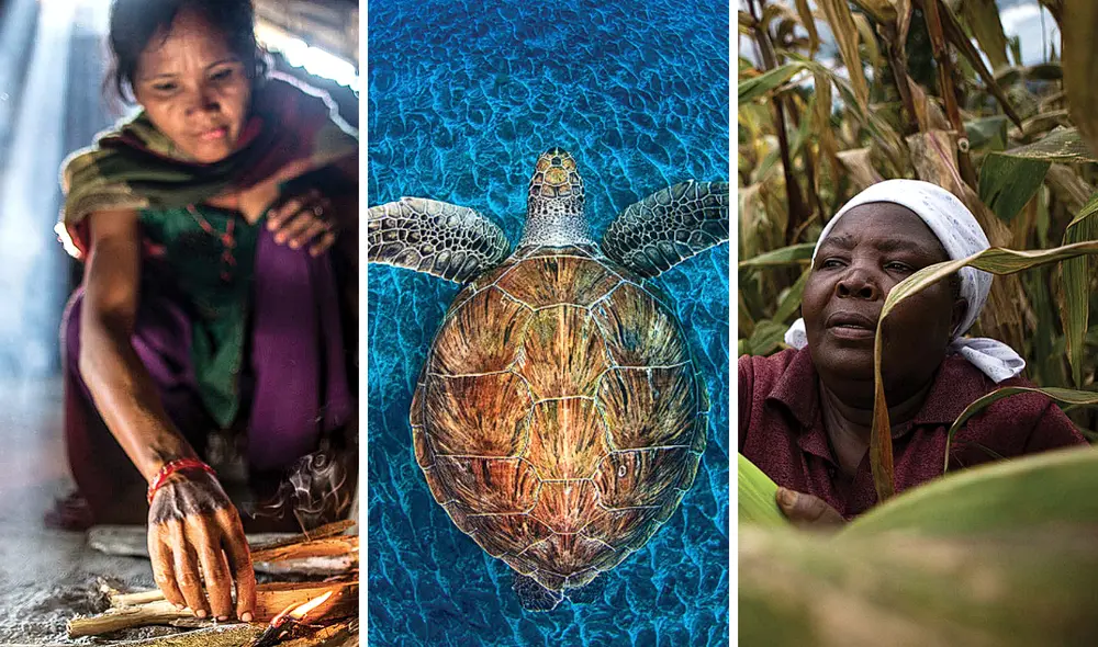¿Qué es el Fondo Mundial para la Naturaleza y cuál es su rol en la Hora del Planeta? Conoce a qué se dedica y por qué es importante en la conservación del medioambiente y el desarrollo sostenible social y económico. Foto: composición/ WWF-ANNUAL REVIEW 2014