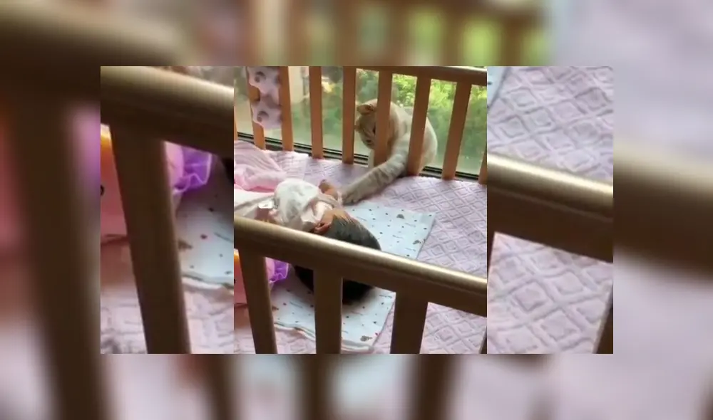 Desliza hacia la izquierda para ver más del video viral.