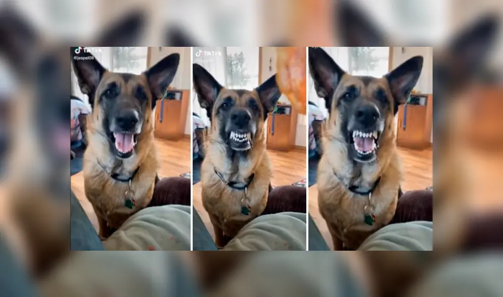 Desliza hacia la izquierda para ver las imágenes del viral de YouTube. Foto: Captura. Desliza hacia la izquierda para ver las imágenes del viral de YouTube. Foto: Captura.