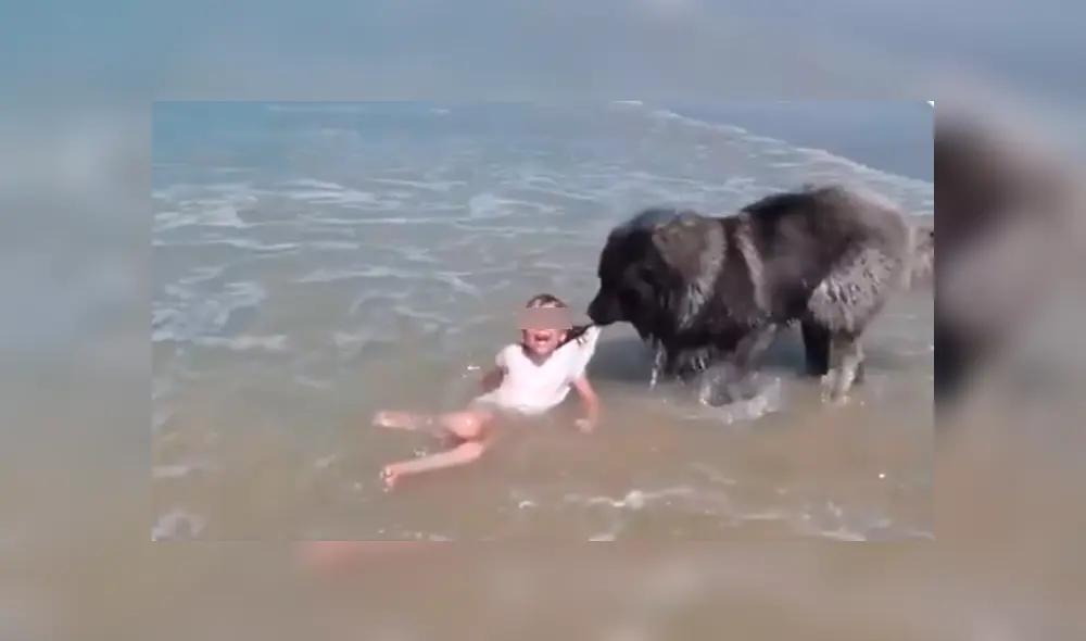 Desliza hacia la izquierda para ver más del video viral. Fotocaptura: Twitter